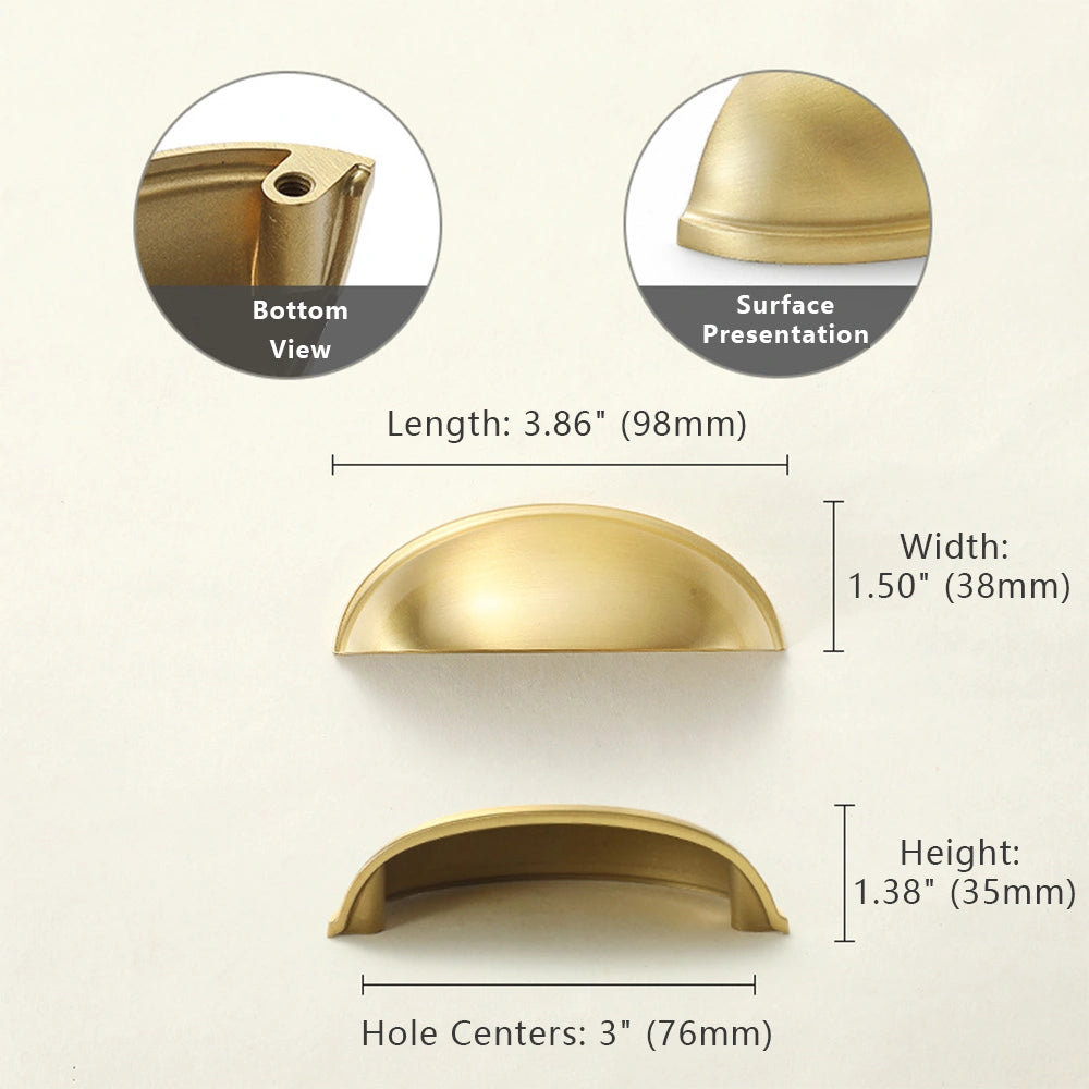 76mm Natural Brass Shell Cup Pull Cabinet Size
